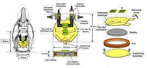 Neuroprosthetics and Modeling of Neurons