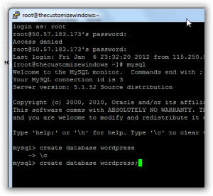 Terminal Emulation and Terminal