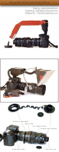 Macro-Photography