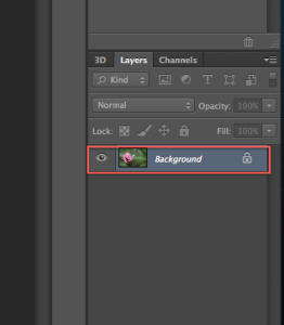How to Insert Signature in Digital Photography