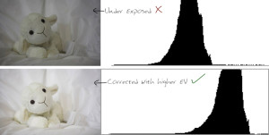 How to Use Exposure Compensation